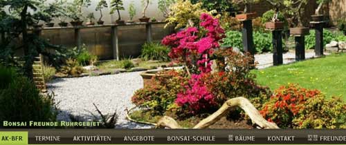 Arbeitskreis Bonsaifreunde Ruhrgebiet