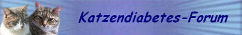 katzendiabetes-forum